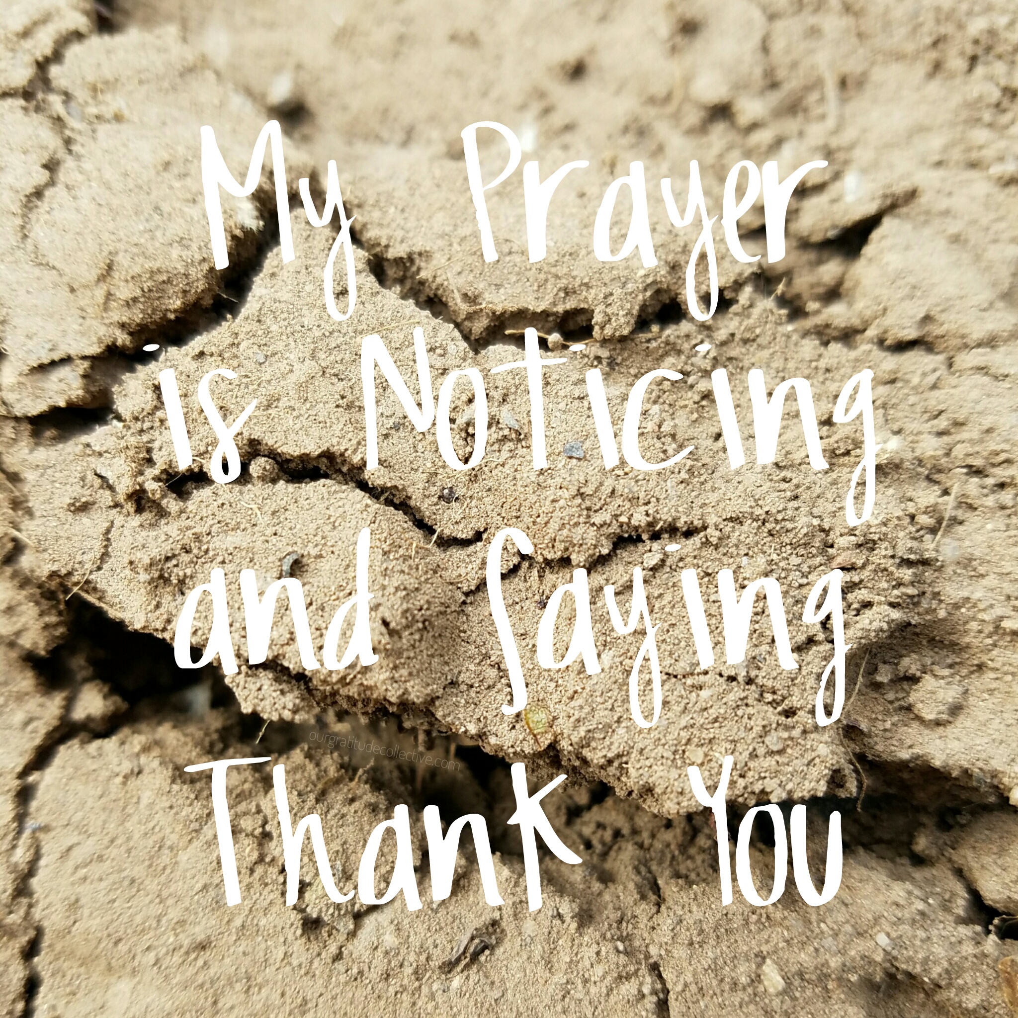 My Prayer is Noticing and Saying Thank You – Our Gratitude Collective